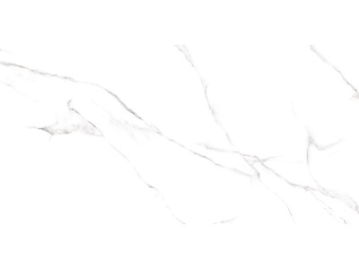 Carrara 120x60
