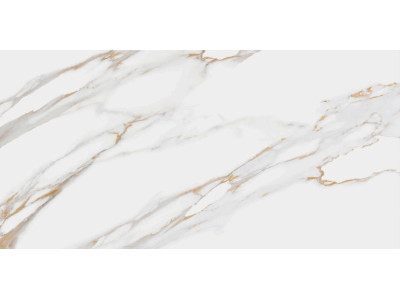 Dakota 50x24,9
