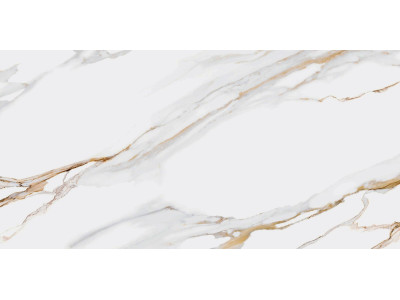 Dakota 50x24,9
