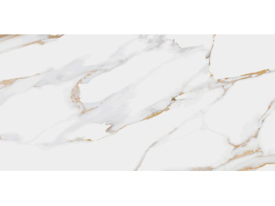 Dakota 50x24,9
