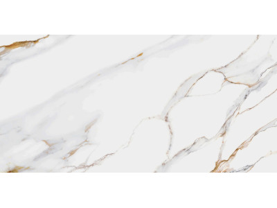Dakota 50x24,9
