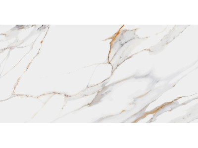 Dakota 50x24,9
