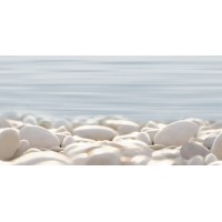 Декор Del Mare 50x24,9
