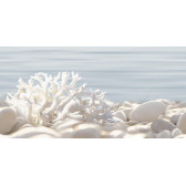 Del Mare 50x24,9
