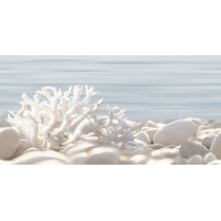 Декор Del Mare 50x24,9
