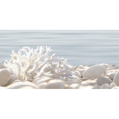 Del Mare 50x24,9
