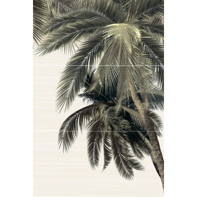 Del Mare 50x74,7
