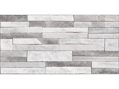 Discover 50x24,9