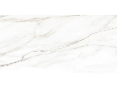 Euphoria 50x24,9
