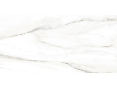 Euphoria 50x24,9
