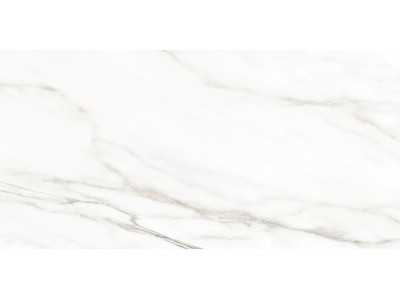 Euphoria 50x24,9