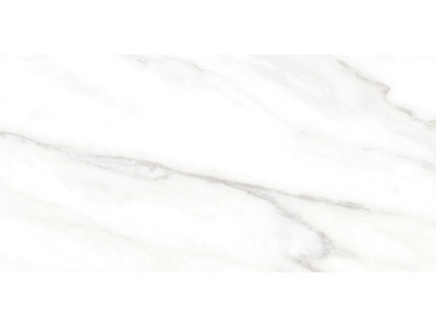 Euphoria 50x24,9