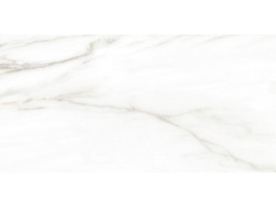 Euphoria 50x24,9