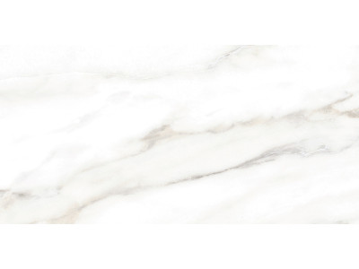 Euphoria 50x24,9
