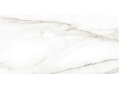 Euphoria 50x24,9