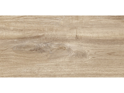 Euphoria 50x24,9