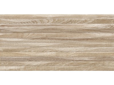 Плитка настенная Euphoria 50x24,9