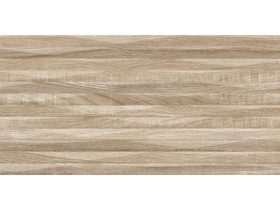 Euphoria 50x24,9