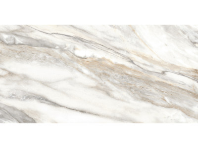 Euphoria 50x24,9