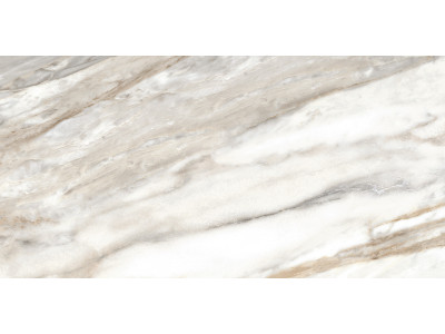 Euphoria 50x24,9