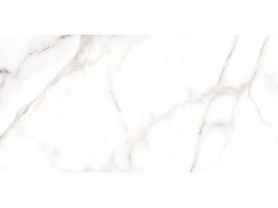 Grigio 50x24,9
