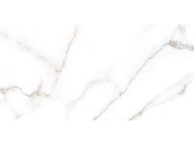 Grigio 50x24,9
