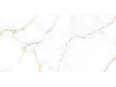 Grigio 50x24,9
