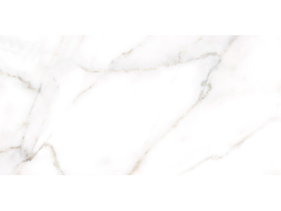 Grigio 50x24,9
