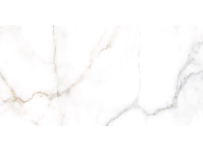 Grigio 50x24,9
