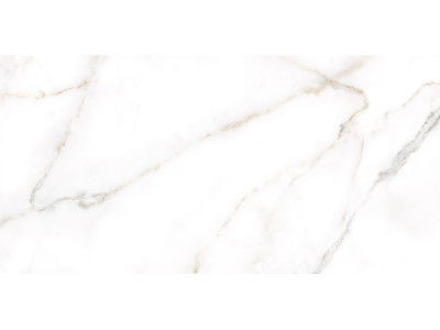 Grigio 50x24,9
