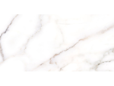 Grigio 50x24,9
