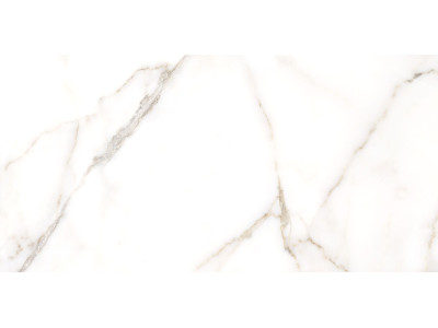 Grigio 50x24,9
