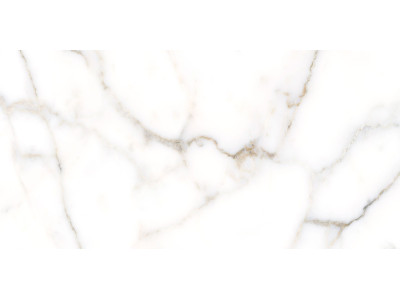 Grigio 50x24,9
