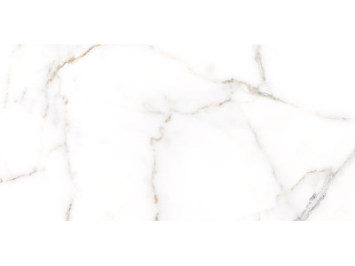 Grigio 50x24,9
