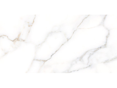 Grigio 50x24,9
