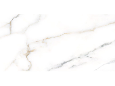 Grigio 50x24,9
