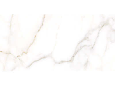 Grigio 50x24,9
