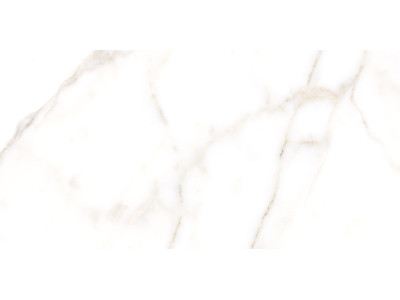 Grigio 50x24,9

