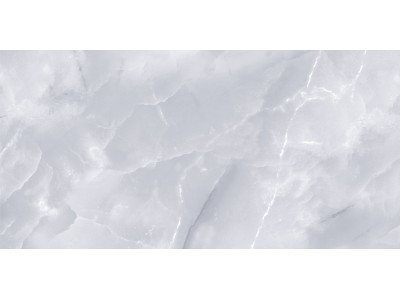 Grigio 50x24,9
