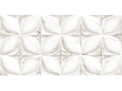 Laura 50x24,9
