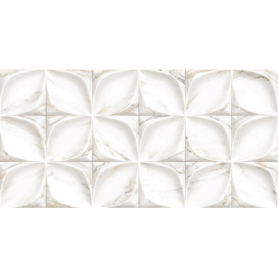 Laura 50x24,9
