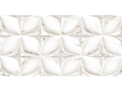 Laura 50x24,9
