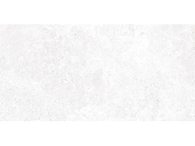 Stone 50x24,9