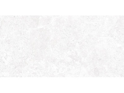 Stone 50x24,9