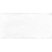 Mattone 50x24,9
