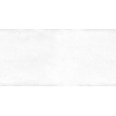 Mattone 50x24,9
