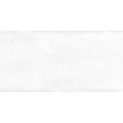 Mattone 50x24,9
