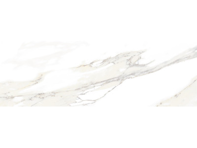 Nativa 60x20
