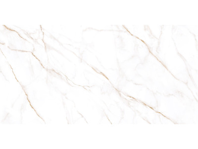 Neo Calacatta 120x60
