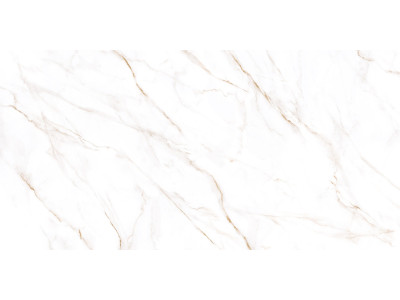 Neo Calacatta 120x60
